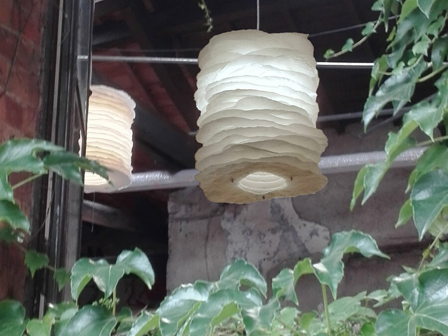 Millefeuille HIRSUTE