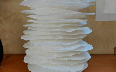 Millefeuilles HIRSUTE à poser